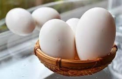 Những sự thật chưa biết về trứng bạn chớ nên bỏ qua