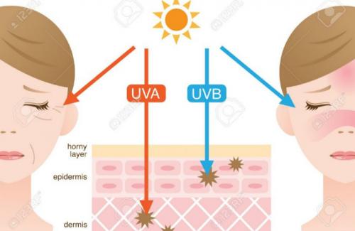 Tia UVB là gì? Tác hại của tia UVB đối với sức khỏe con người