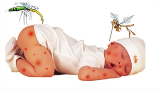 Triệu chứng phổ biến ở trẻ khi bị bệnh sốt xuất huyết
