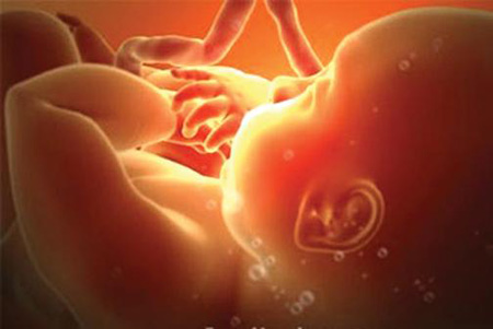 Các yếu tố ảnh hưởng xấu đến thai nhi mẹ nhất định phải biết