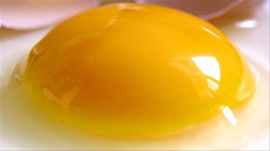 Những sự thật về trứng gà mà nhiều người chưa biết