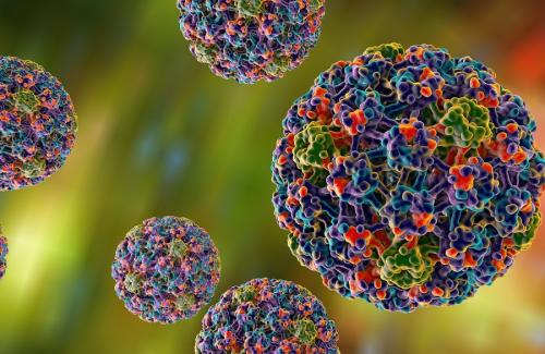 Sự thật kinh hoàng về virus HPV - nguyên nhân gây bệnh đường sinh dục