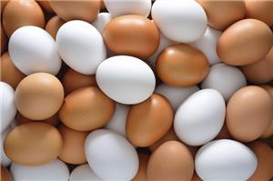 Những ai thích ăn trứng gà nên biết 10 điều không ngờ sau