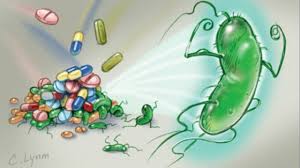 Bạn có biết trị liệu mới đối với vi khuẩn đề kháng đa thuốc