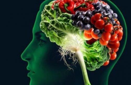 Não bộ cần phải có những chất dinh dưỡng gì để phát triển?