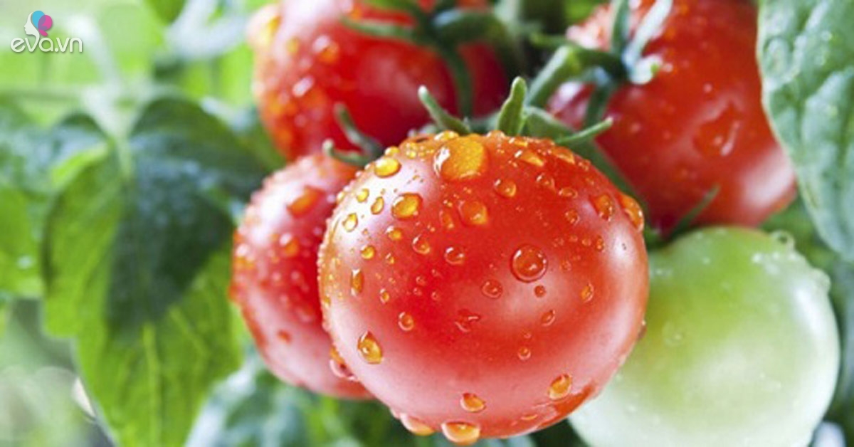 6 cách ăn cà chua có hại cho sức khỏe bạn cần tránh xa