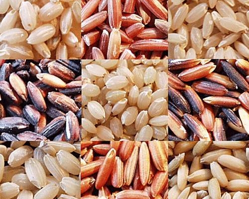Cách dùng gạo lứt dưỡng sinh giúp tăng cường dinh dưỡng
