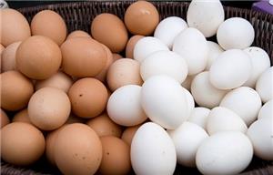 Bạn nên biết: Trứng gà trắng và trứng gà nâu có gì khác nhau?