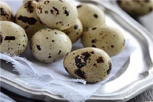 Những lợi ích tuyệt vời của trứng cút: Gia đình có con nhỏ nên ăn thường xuyên