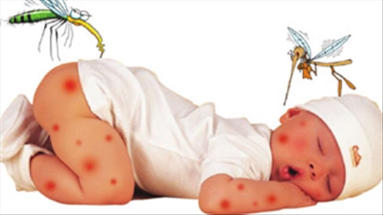 Những dấu hiệu giúp bạn nhận biết bệnh sốt xuất huyết?