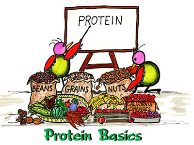 "Sức mạnh" của protein đối với sức khỏe ít người biết đến