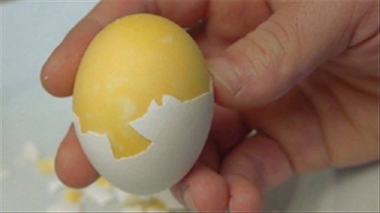 Trứng gà ung, trứng gà ấp dở có thực sự là thần dược?