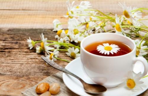 Những đối tượng tuyệt đối không được sử dụng trà hoa cúc