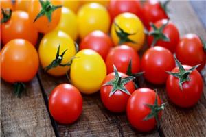 Cà chua đỏ và cà chua vàng khác nhau, nên ăn loại nào?