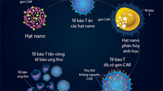 Dùng hạt nano giúp hệ miễn dịch chống lại tế bào ung thư