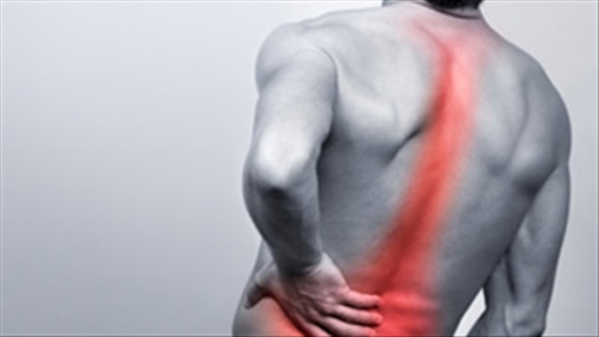 Những cách đơn giản giúp bạn hạn chế việc đau lưng