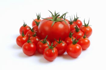 Khám phá 10 lợi ích sức khỏe tuyệt vời của cà chua với sức khỏe