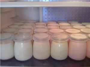 Chia sẻ cho chị em kinh nghiệm bảo quản sữa chua thơm ngon tại nhà