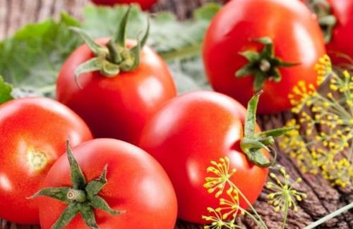 Cà chua có thực sự phòng chống được ung thư tuyến tiền liệt?