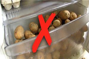 Bảo quản khoai tây trong tủ lạnh là tự thêm độc vào người