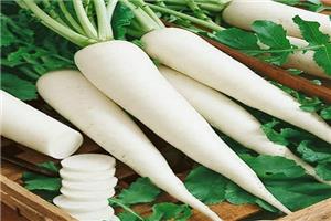 Củ cải trắng có tác dụng gì với sức khỏe của chúng ta