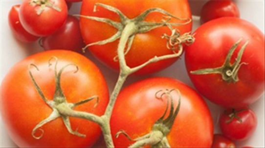 Cà chua không nên bảo quản trong tủ lạnh vì những lý do này!