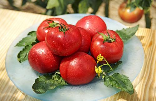 Bạn nhất định phải biết: Ăn nhiều cà chua gây sỏi thận?