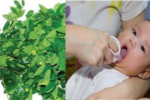 Bật mí 5 bài thuốc dân gian chữa tưa lưỡi cực hiệu quả dành cho các mẹ
