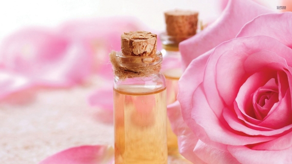 Hoa hồng thuốc quý cho sức khỏe và sắc đẹp của phái đẹp