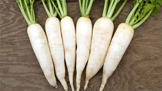 Củ cải trắng: Lợi ích tuyệt vời từ làm đẹp đến chữa bệnh
