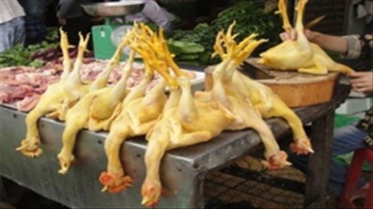 Vì sao ăn thịt gà nhuộm vàng có nguy cơ mắc bệnh ung thư