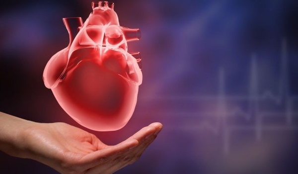 Dấu hiệu cảnh báo đau tim không nên bỏ qua nếu không muốn mất mạng oan