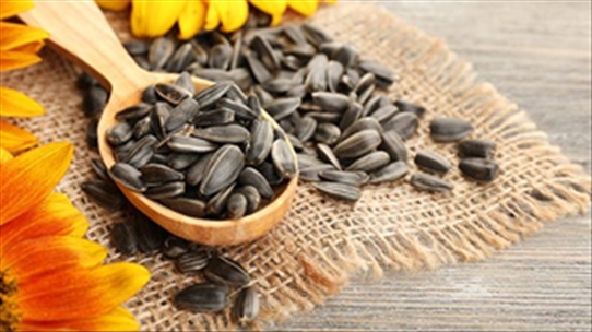 Bạn có biết ăn hạt hướng dương mang lại lợi ích gì?