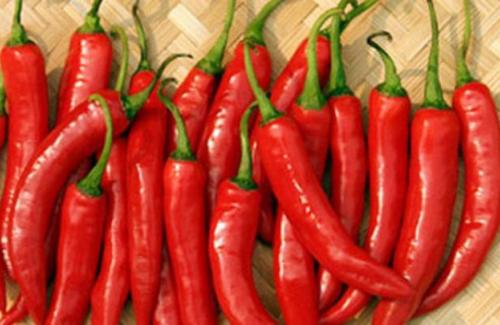 Hướng dẫn 10 lợi ích tuyệt vời của việc ăn ớt mà bạn chưa biết