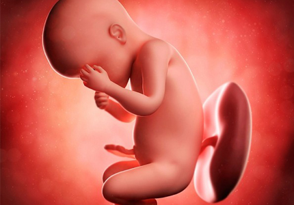 7 điều mẹ bầu nên làm để ngừa dị tật bẩm sinh cho thai nhi