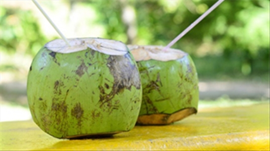 Hãy uống nước dừa vì những lợi ích của nó mang lại bạn nhé