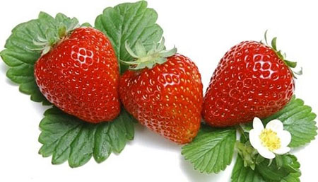 Bật mí 13 loại trái cây giúp giảm mỡ bụng cực hiệu quả