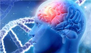 ​Tổn thương não nhẹ cũng tăng nguy cơ mắc bệnh Parkinson