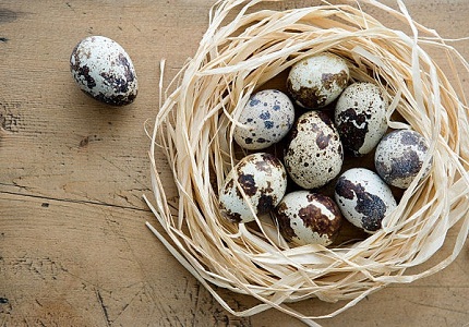 Những lợi ích tuyệt vời của trứng cút với sức khỏe