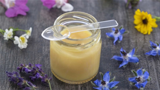 8 lợi ích tuyệt vời của sữa ong chúa đối với sức khỏe