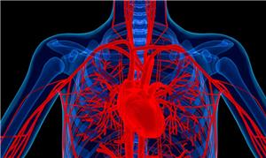 Thuốc điều trị viêm khớp có thể chữa được bệnh tim hay không?