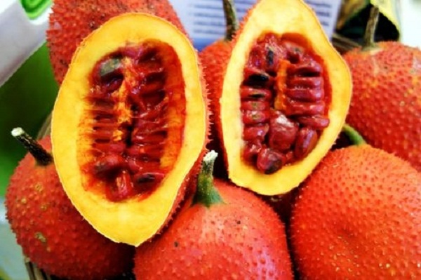 Những sai lầm khi ăn quả gấc có thể gây độc hại đến cơ thể