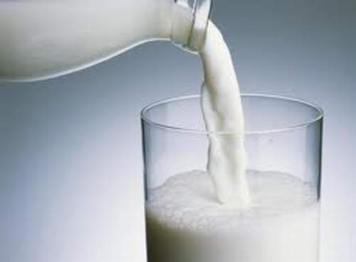 Người bị bệnh gan nhiễm mỡ có nên uống sữa hay không?