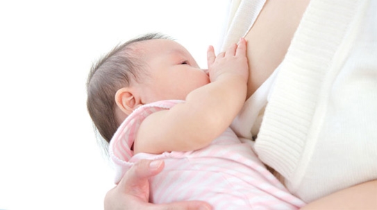 Bú mẹ ít, dùng sữa công thức sớm, trẻ có nguy cơ gan nhiễm mỡ khi trưởng thành