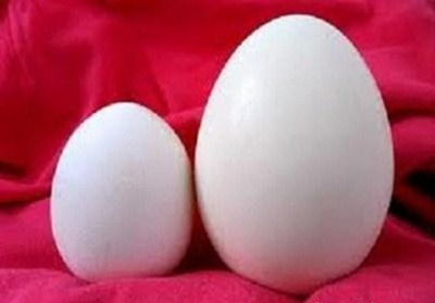 Bạn nhất định phải biết: Trứng ngỗng hay trứng gà bổ hơn?