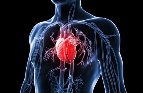 Ngăn ngừa nhồi máu cơ tim cấp do bệnh mạch vành như thế nào?