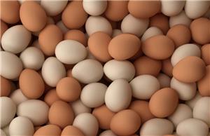 Màu vỏ trứng gà có quyết định chất dinh dưỡng trong trứng?