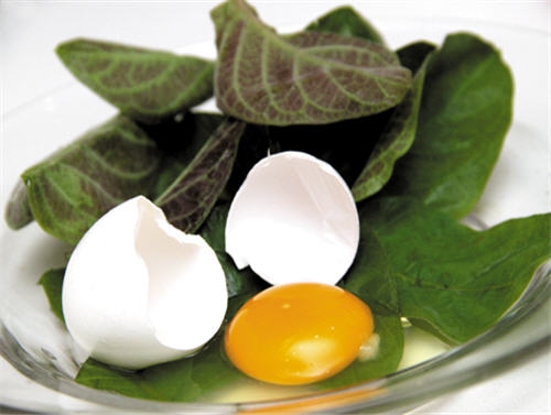 8 món ngon giúp trị bệnh từ trứng gà vô cùng đơn giản lại hiệu quả