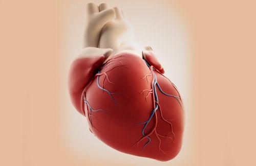 Dấu hiệu nhận biết bệnh nhồi máu cơ tim ở phụ nữ nhất định phải biết