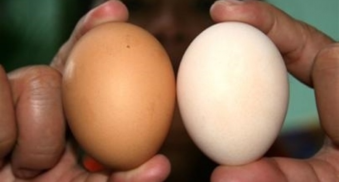Cách nhận biết trứng gà Trung Quốc, trứng tẩy trắng hiệu quả nhất